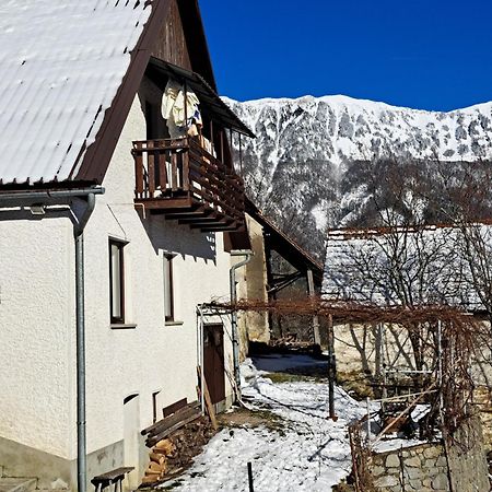 Hikers Hut Hisar Διαμέρισμα Podbrdo Εξωτερικό φωτογραφία